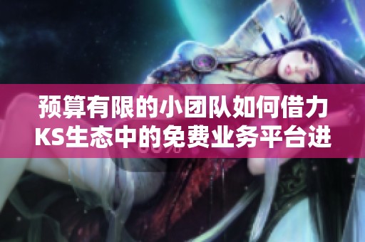 预算有限的小团队如何借力KS生态中的免费业务平台进行有效推广 预算有限的小团队如何借力KS生态中的免费业务平台进行有效推广
