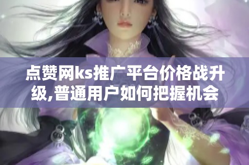 点赞网ks推广平台价格战升级,普通用户如何把握机会? 点赞网ks推广平台价格战升级,普通用户如何把握机会?