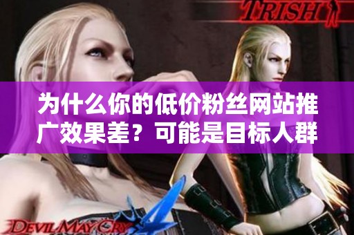 为什么你的低价粉丝网站推广效果差？可能是目标人群定位出了问题