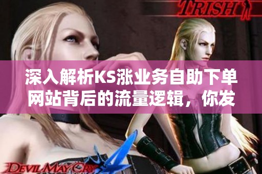 深入解析KS涨业务自助下单网站背后的流量逻辑,你发现了哪些奥秘? 深入解析KS涨业务自助下单网站背后的流量逻辑,你发现了哪些奥秘?