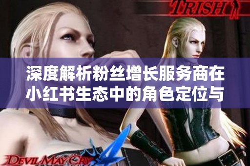 深度解析粉丝增长服务商在小红书生态中的角色定位与业务边界 深度解析粉丝增长服务商在小红书生态中的角色定位与业务边界