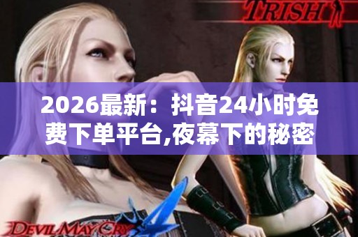 2026最新：抖音24小时免费下单平台,夜幕下的秘密补给站准时开启