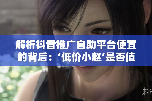解析抖音推广自助平台便宜的背后：‘低价小赵’是否值得信赖？