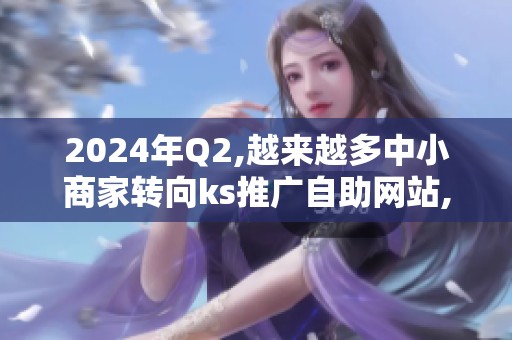 2024年Q2,越来越多中小商家转向ks推广自助网站,背后是流量成本的 2024年Q2,越来越多中小商家转向ks推广自助网站,背后是流量成本的