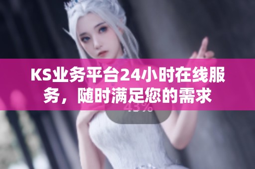 KS业务平台24小时在线服务，随时满足您的需求