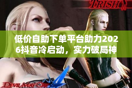 低价自助下单平台助力2026抖音冷启动，实力破局神器