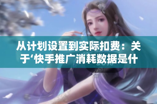 从计划设置到实际扣费:关于‘快手推广消耗数据是什么意思’的详细 从计划设置到实际扣费:关于‘快手推广消耗数据是什么意思’的详细