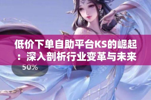 低价下单自助平台KS的崛起：深入剖析行业变革与未来发展趋势