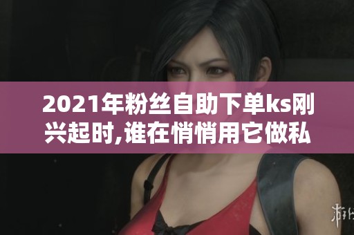 2021年粉丝自助下单ks刚兴起时,谁在悄悄用它做私域转化？