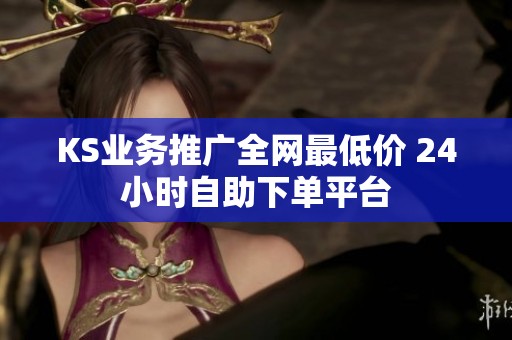 KS业务推广全网最低价 24小时自助下单平台