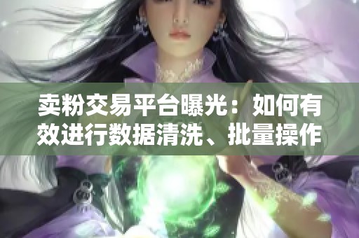 卖粉交易平台曝光：如何有效进行数据清洗、批量操作及保障账号安全