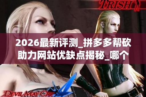 2026最新评测_拼多多帮砍助力网站优缺点揭秘_哪个品牌最靠谱